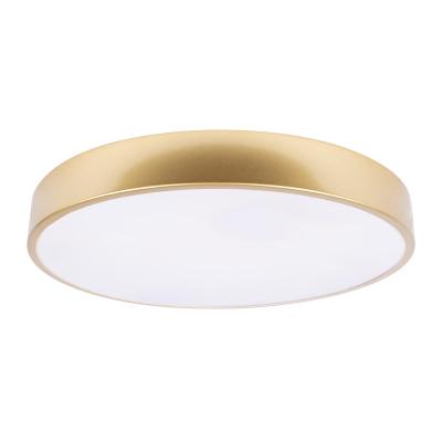 Потолочный светильник Loft it Flims 10228/A