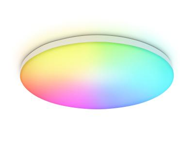 Потолочный светильник Ambrella light ORBITAL FZ2001