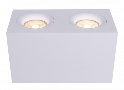 Накладной светильник Maytoni Ceiling & Wall C013CL-02W Накладной светильник Maytoni Ceiling & Wall C013CL-02W