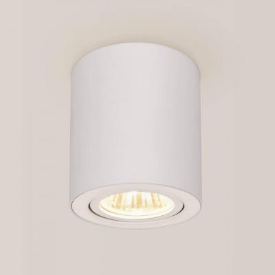 Потолочный светильник Citilux Дюрен CL538111 Потолочный светильник Citilux Дюрен CL538111