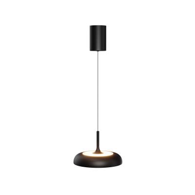 Подвесной светильник Maytoni Modern MOD189PL-L30B3K