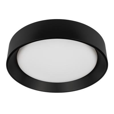 Потолочный светильник LOFT IT Coin 10202 BB