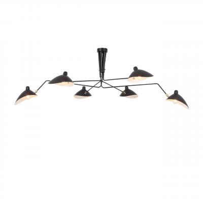 Подвесная люстра ST Luce Spruzzo SL305.402.06 Подвесная люстра ST Luce Spruzzo SL305.402.06