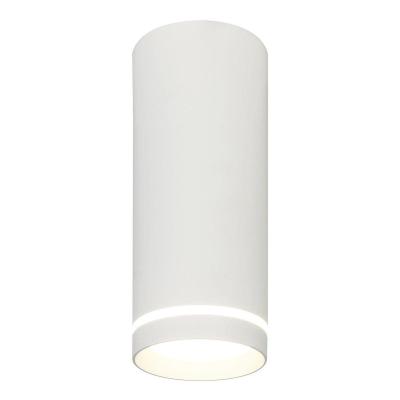 Накладной светодиодный светильник Escada 20009 20009SMU/02LED SWH