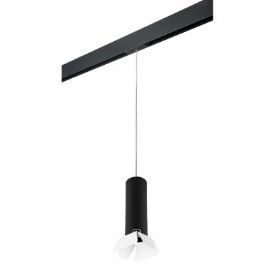 Комплект со светильником Lightstar Rullo PRORP497436