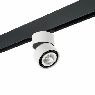 Комплект со светильником Lightstar Forte Muro PRO213816