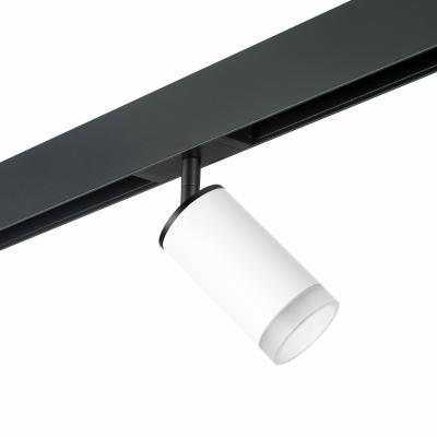 Комплект со светильником Lightstar Rullo PRO43630 Комплект со светильником Lightstar Rullo PRO43630