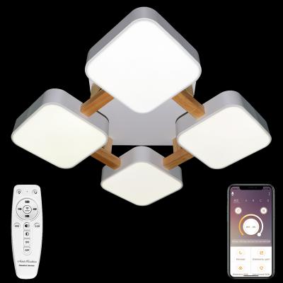 Потолочная люстра Natali Kovaltseva LED LED LAMPS 81323 Потолочная люстра Natali Kovaltseva LED LED LAMPS 81323
