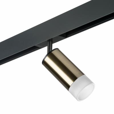 Комплект со светильником Lightstar Rullo PRO43131 Комплект со светильником Lightstar Rullo PRO43131