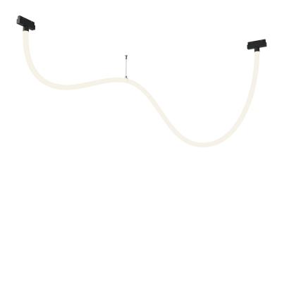 Трековый подвесной светильник Maytoni Magnetic track system Exility TR101-2-50W4K-B