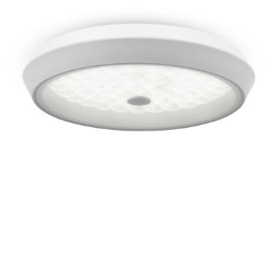 Люстра потолочная Freya FR10012CL-L24W