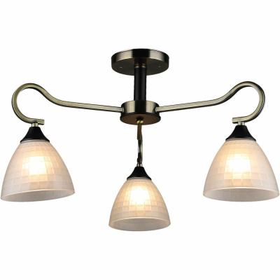 Люстра потолочная на штанге Reluce 03751-0.3-03