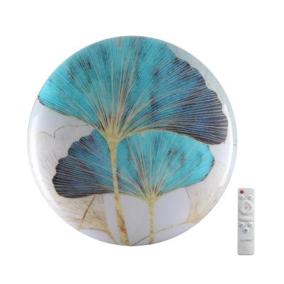 Настенно-потолочный светильник СОНЕКС FLOREN 7747/DL