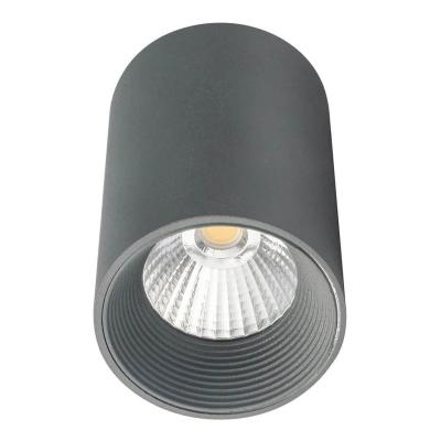 Накладной светодиодный светильник Escada 20003 20003SMU/01LED SGY