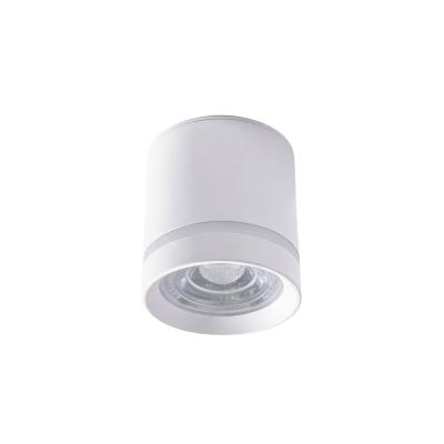 Накладной светильник WERTMARK ALTAIR WTA.O08.007.30.05