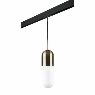 Комплект с подвесом Lightstar Ramo PRO690111