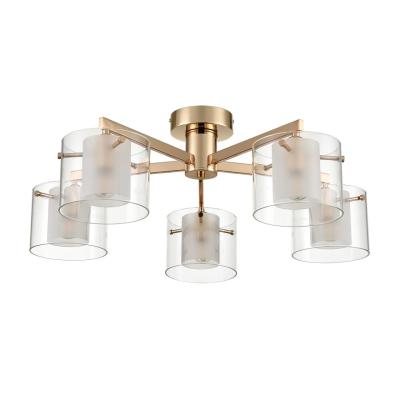 Люстра LUMION VERDI 6587/5C