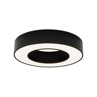 Потолочный светильник Maytoni Ceiling C093CL-24W4K-B