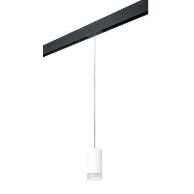 Комплект со светильником Lightstar Rullo PRORP43630