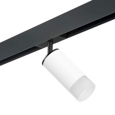 Комплект со светильником Lightstar Rullo PRO43631 Комплект со светильником Lightstar Rullo PRO43631