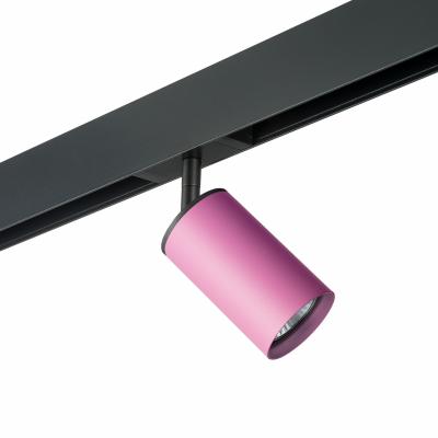 Комплект со светильником Lightstar Rullo PRO432