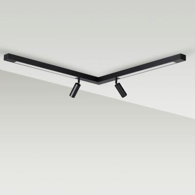 Потолочная люстра Lumion Hawk 5690/19CL