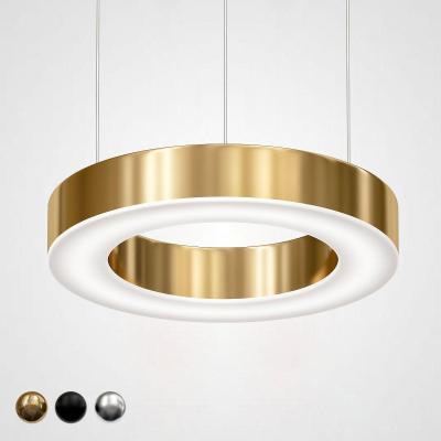 Подвесной светодиодный светильник Imperium Loft Light Ring 177931-22 Подвесной светодиодный светильник Imperium Loft Light Ring 177931-22