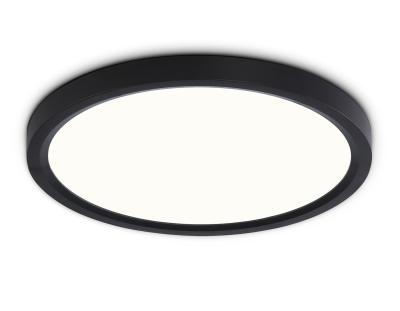 Накладной светильник Ambrella light ORBITAL FZ1904