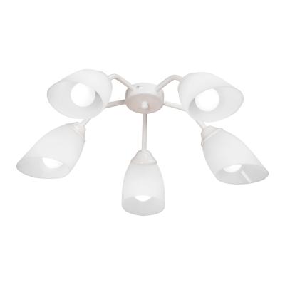 Люстра Vitaluce V31950/5PL