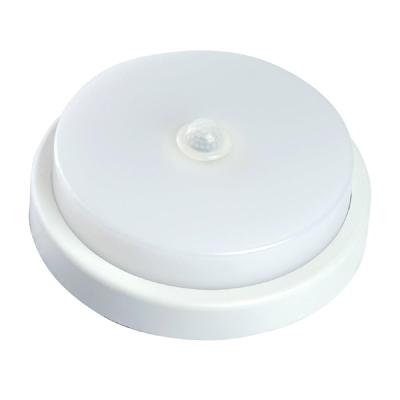 Накладной светодиодный пылевлагозащищенный светильник c ИК-датчиком Feron AL3016 48564