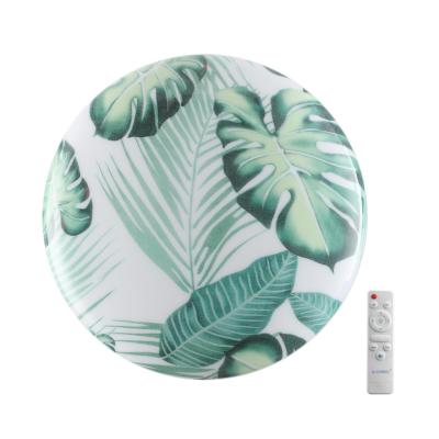 Настенно-потолочный светильник СОНЕКС FLORI 7748/DL