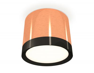 Накладной светильник Ambrella light Xs Techno Spot XS8122001 (C8122, N8113)