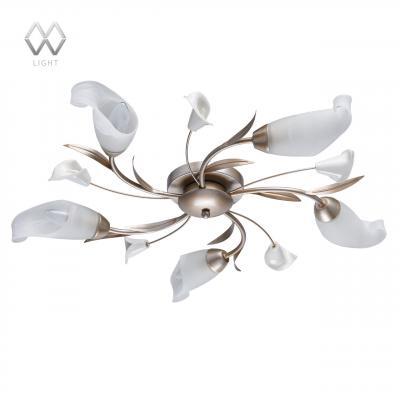 Потолочная люстра MW-Light Восторг 19 242016205