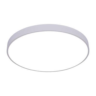 Потолочный светодиодный светильник Arte Lamp Arena A2671PL-1WH