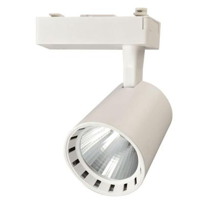 Трековый светодиодный светильник Jazzway PTR 03 5010574