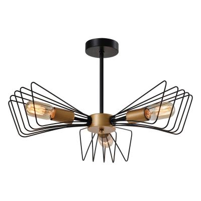 Потолочная люстра Lussole Durham LSP-8795