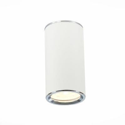 Потолочный светильник ST Luce ST111.507.01 Потолочный светильник ST Luce ST111.507.01