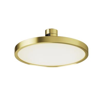 Трековый светильник Maytoni FLARITY TR153-1-10W4K-BS