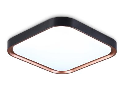 Потолочный светильник Ambrella light ORBITAL FZ1271