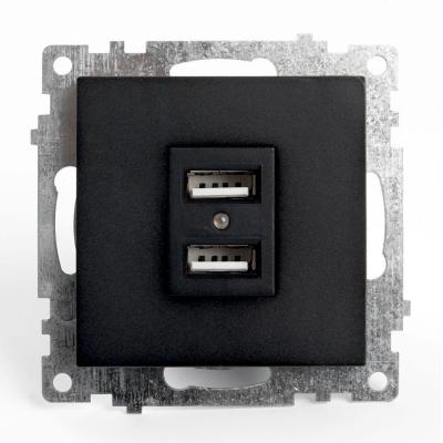 Розетка 2хUSB Stekker Катрин черный 39616 Розетка 2хUSB Stekker Катрин черный 39616