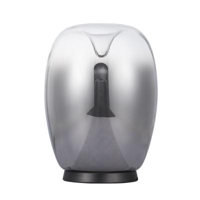 Настольная лампа DIVINARE Campo 5875/51 TL-15