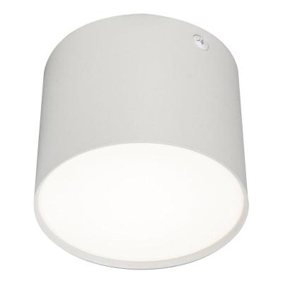 Накладной светодиодный светильник Escada 20004 20004SMU/01LED SWH