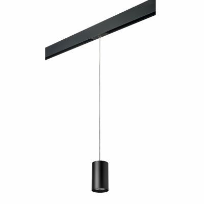 Комплект со светильником Lightstar Rullo PRORP437 Комплект со светильником Lightstar Rullo PRORP437