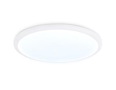 Потолочный светильник Ambrella light ORBITAL FZ1231