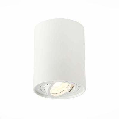 Потолочный светильник ST Luce ST108.517.01 Потолочный светильник ST Luce ST108.517.01