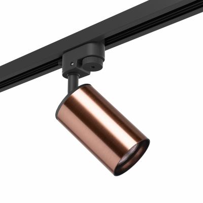 Комплект со светильником Lightstar Rullo R1T430