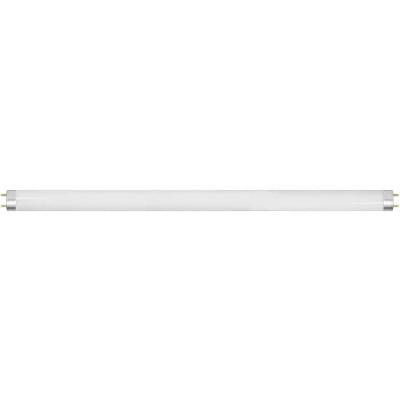 (30 шт.) Лампа светодиодная Saffit G13 10W 6400K Трубчатая Матовая SBT6010 55059