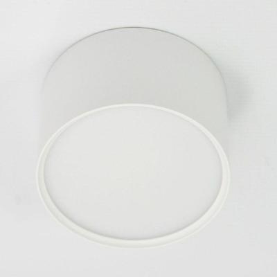 Потолочный светодиодный светильник Elvan 2337 NLS-2337-6W-WW-Wh