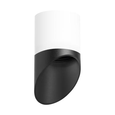 Накладной светильник Lightstar Rullo R348687 (213486+201487) Накладной светильник Lightstar Rullo R348687 (213486+201487)